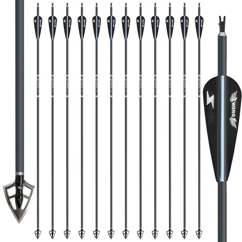 12pcs frecce in carbonio - 12pcs,