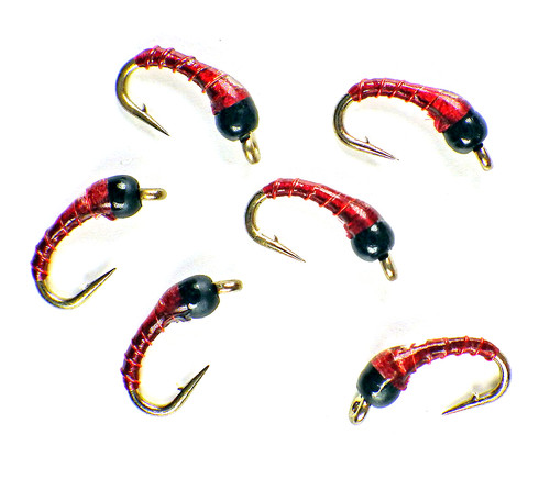 Zebra midge ninfe tungsteno - zebra, al