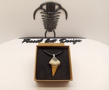 Fossil Tooth Shark Pendente