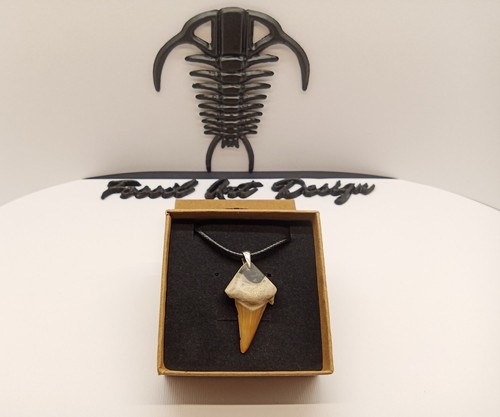 Fossil tooth shark pendente - fossil,