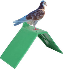 Supporto per Uccelli, 10 Pezzi