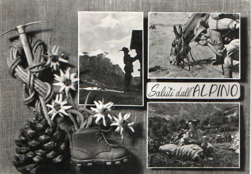 Alpini saluti dall alpino - alpini,