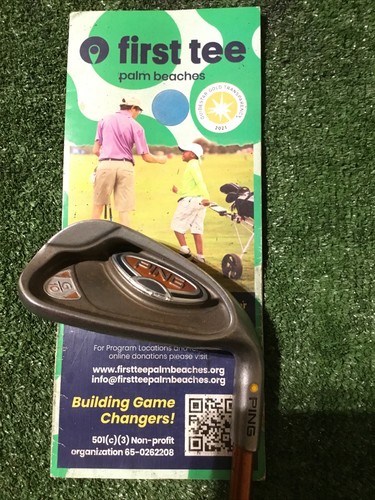 Ping g10 cuneo lancio - g10, di