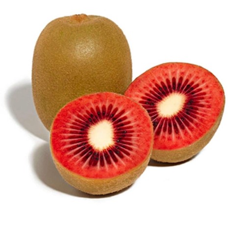 Actinidia arguta - , kiwi)