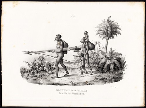 Rara stampa