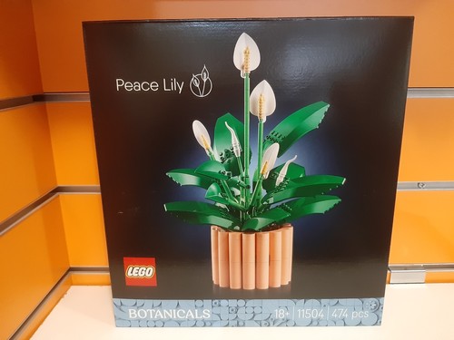 Lego botanicals 11504 - botanicals,