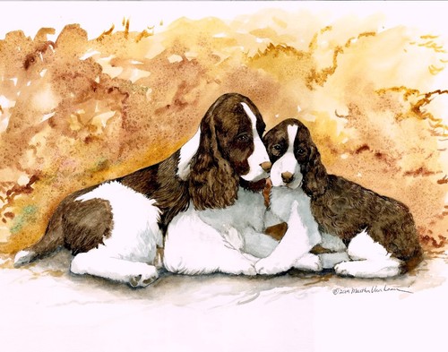 English springer spaniel mom - springer,