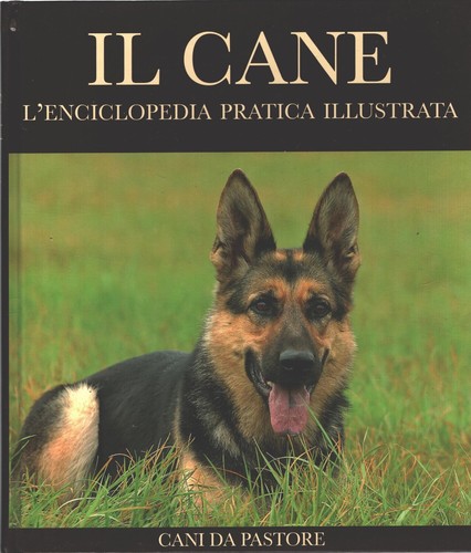 Cani pastore il - da, cane