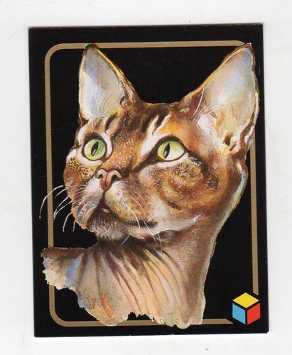 Figurina card amici - amici, del
