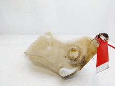 9650452280 vaschetta acqua