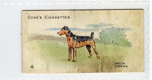 Cope dogs of the - cope,,