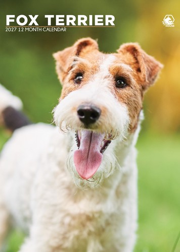 Fox terrier dog 2027 - terrier, calendari