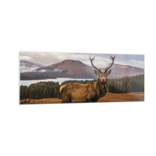 Quadro su Vetro 140x50cm Cervi