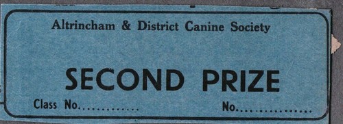 Vintage 1920s bulldog - vintage, bull
