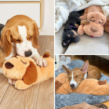 PUPPYWAGGY IL PELUCHE PER IL