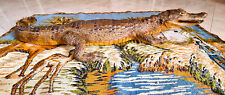 Coccodrillo  vintage imbalsamato Brasile Maranhao anni 60' in ottime condizioni