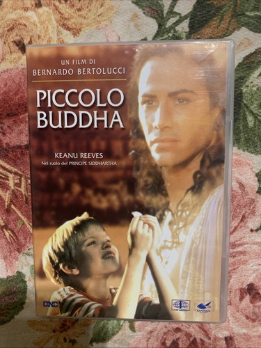 Dvd piccolo buddha - buddha, di