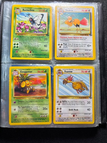 Pokemon complete jungle - pokemon,