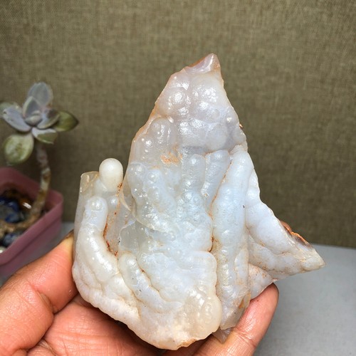 Raro bonsai suiseki gobi - suiseki,