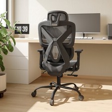 Deluxe Mesh Ergonomic Office
