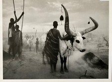 Sebastiao Salgado (warhol Haring Tapies Chagall Helmut Newton Giacomelli capa)