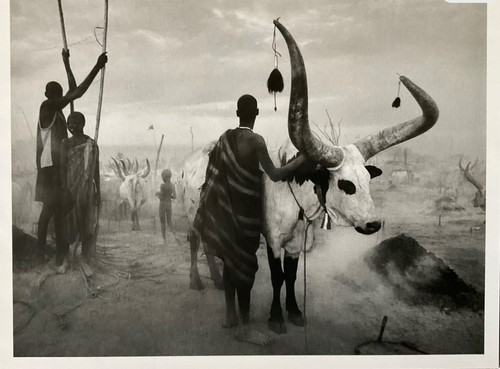 Sebastiao salgado warhol - salgado, (warhol