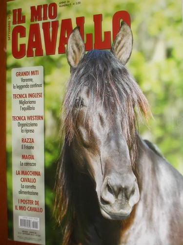 Mio cavallo 2015 - il,