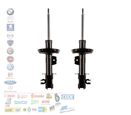 Coppia ammortizzatori - 2,
