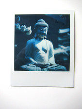 N. ARAKI: POLAROID ORIGINALE