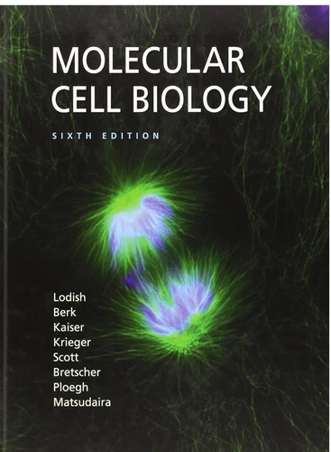Molecular cell biology 6th - molecular,