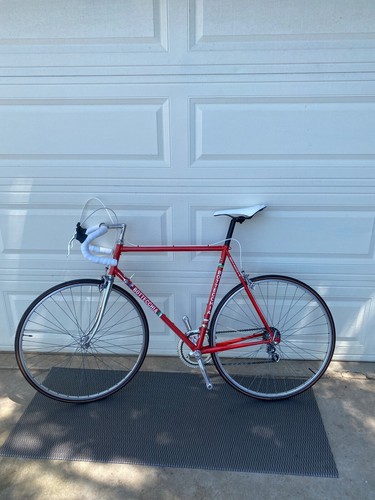 Bottecchia equipe 56cm - bottecchia,