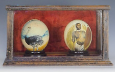 Hand Painted Ostrich Eggs South Antique Pair Cased