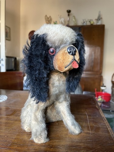Cane peluche cavalier king - cane,