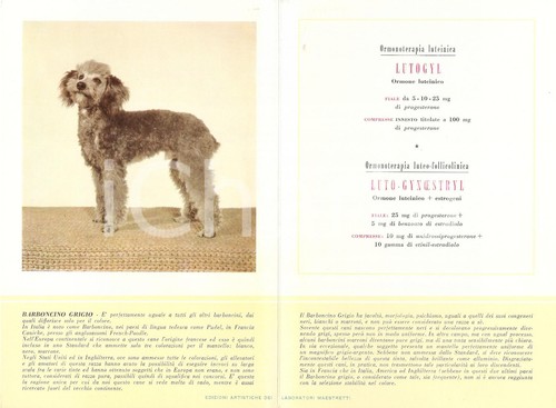1956 milano laboratori - 1956,