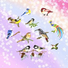  10 Pcs Toppe Per Giubbotti Da