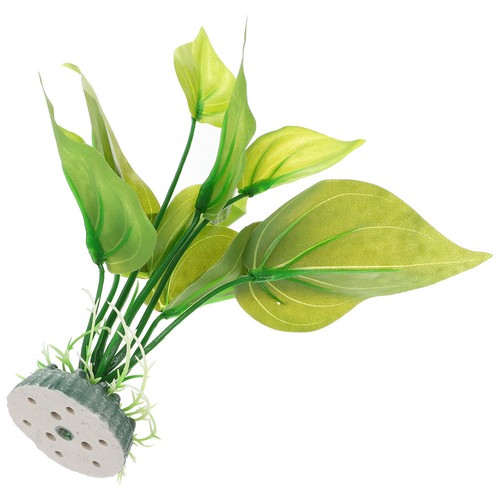 Decorazione del paesaggio - ,