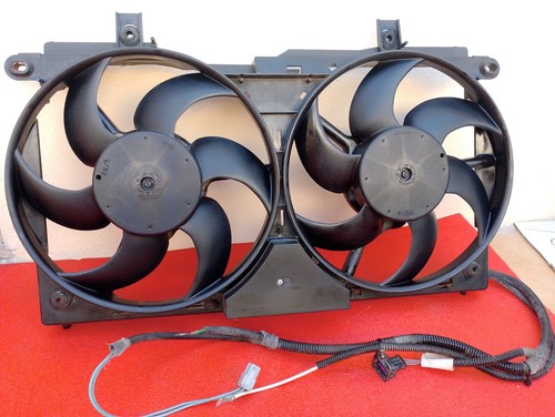 Doppie ventole radiatore - doppie,