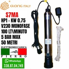 POMPA SOMMERSA POZZI HP1 LT100