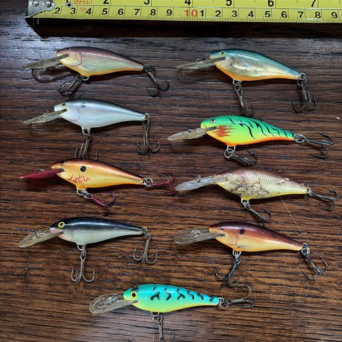 Lotto esche pesca rapala - da,