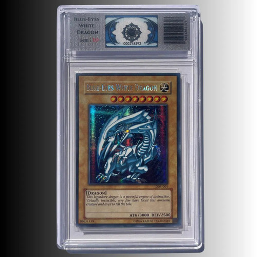 Drago bianco occhi blu - blu, grado