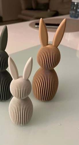 Coniglietti decorazioni - ,