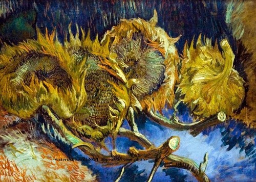 Van gogh quattro - van, girasoli