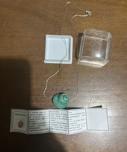 Collana vera conchiglia - collana,