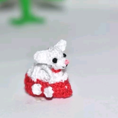 Carino piccolo cane - ,