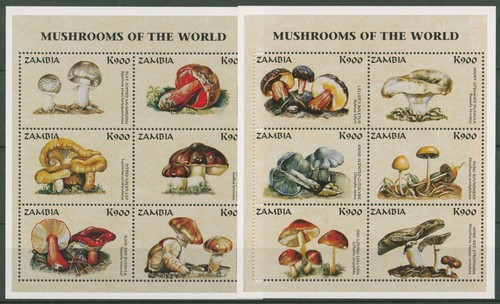 Zambia 1998 funghi minifoglio