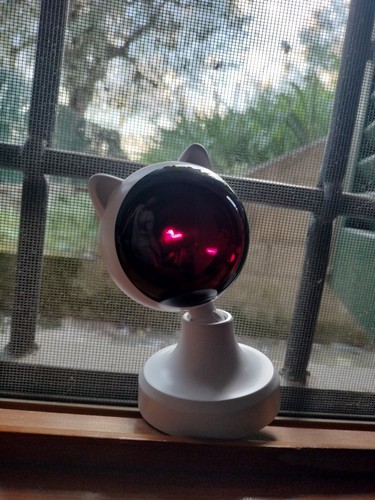 Kittybeam laser automatico per - kittybeam,