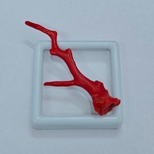 Ramo corallo rosso - ramo, di