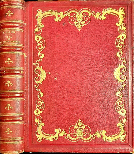 Salice angelo vita di - angelo.,