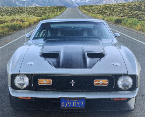 1971 ford mustang mach - 1971,