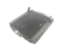 RADIATORE ACQUA LIQUIDO RAFFREDDAMENTO MOTORE PIAGGIO MP3 MIC 400 2008 2010